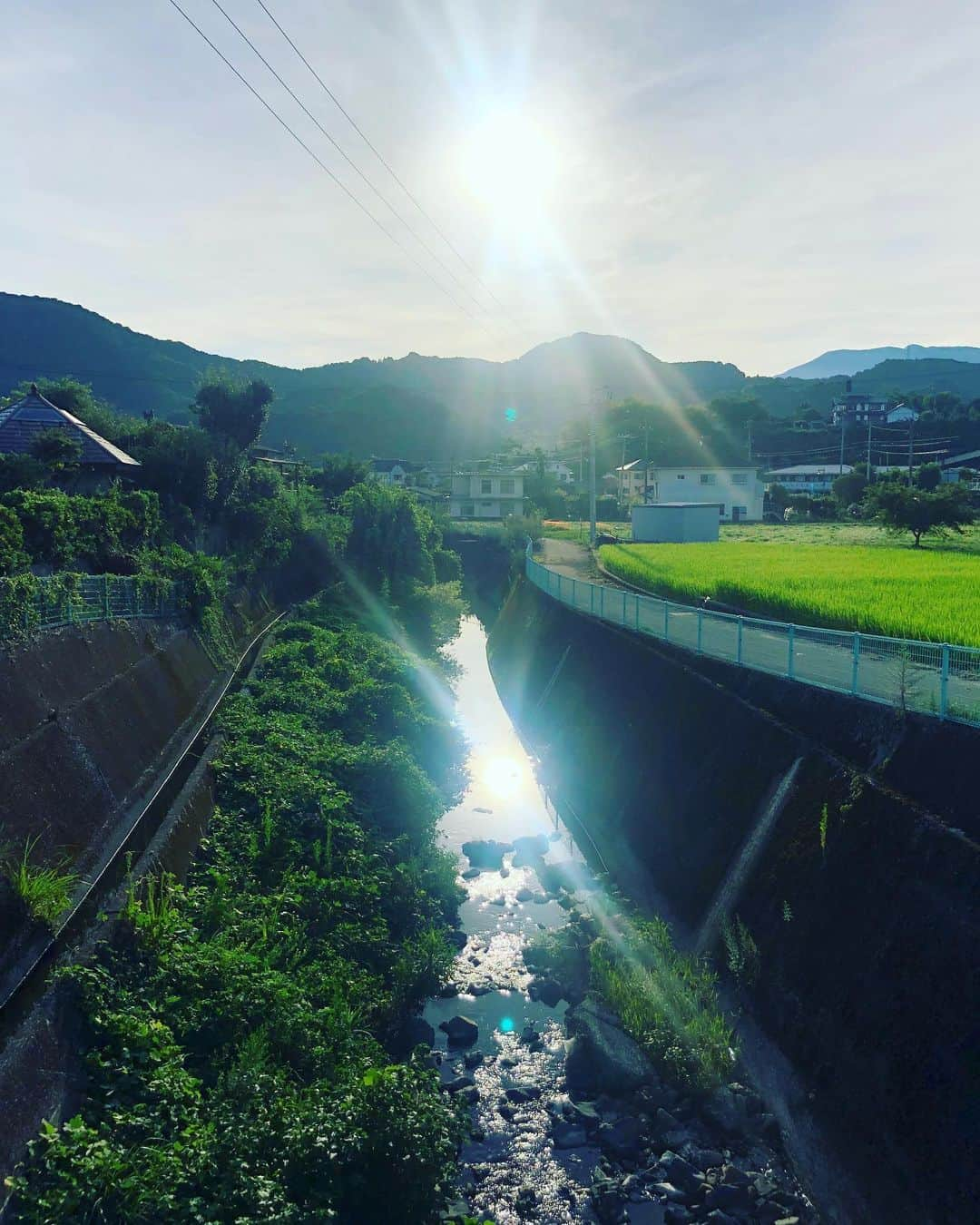 井上侑さんのインスタグラム写真 - (井上侑Instagram)「おはよ  #砥部 #散歩 #morning #えひめ #walking」8月9日 8時53分 - yuinouehappy