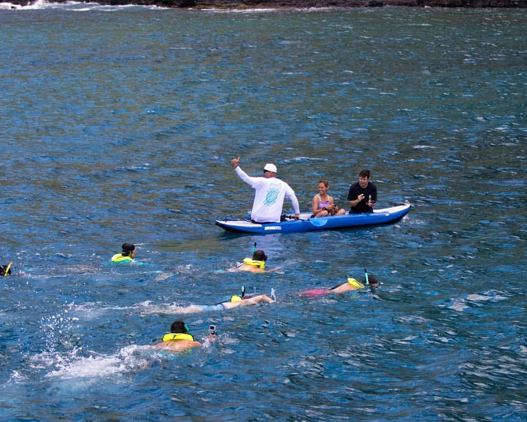 And Youさんのインスタグラム写真 - (And YouInstagram)「​​We guide all of our guests in the water to make sure they see as much wild life as possible! ​. ​. ​. ​. ​. ​. ​. ​. ​. ​. ​. ​. ​. ​. ​#hawaii #hawaiivacation #oahu #oahutours #hawaiistagram #unrealhawaii #hawaiiholiday #oceanlife #sealife #dolphins #wilddolphin」8月9日 9時26分 - dolphinsandyou