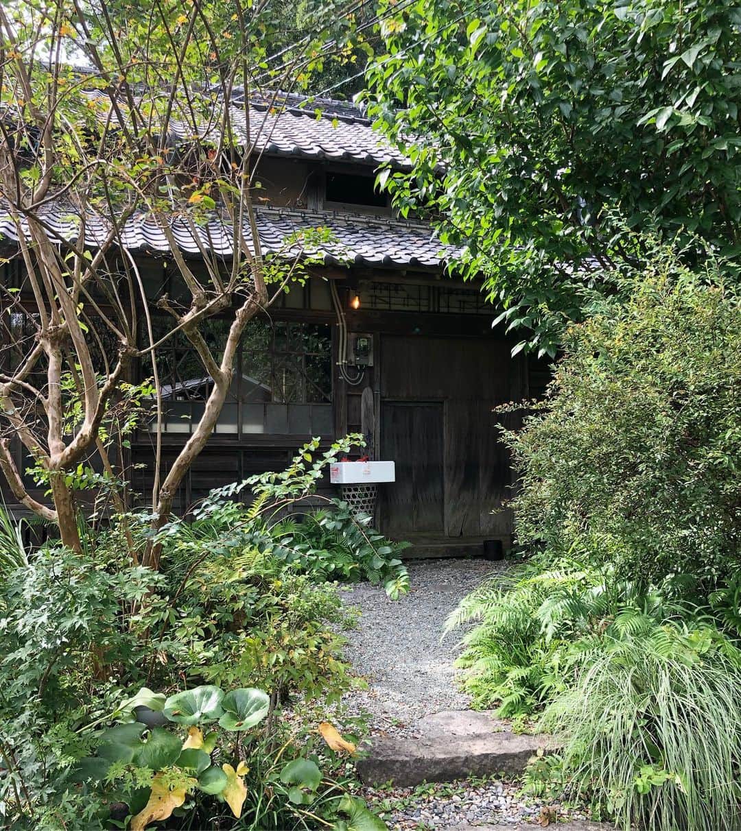 本郷多香子のグルメインスタ