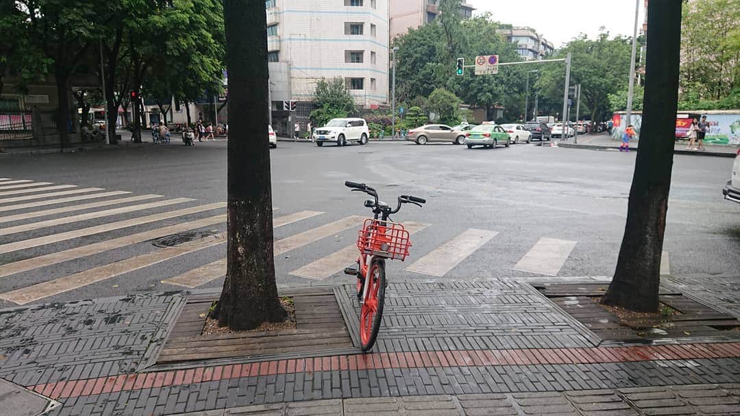 松坂南さんのインスタグラム写真 - (松坂南Instagram)「レンタサイクル。  成都市では、みんなこれに乗ってる格安✨(観光も可)  wechatで身分証登録して、好きな場所で乗って好きな場所(道路脇)に返却可  カラーは他にブルー、グリーン、黄色もあったかな☆  #lovetheearth  #china🇨🇳」8月9日 10時25分 - minami_matsuzaka