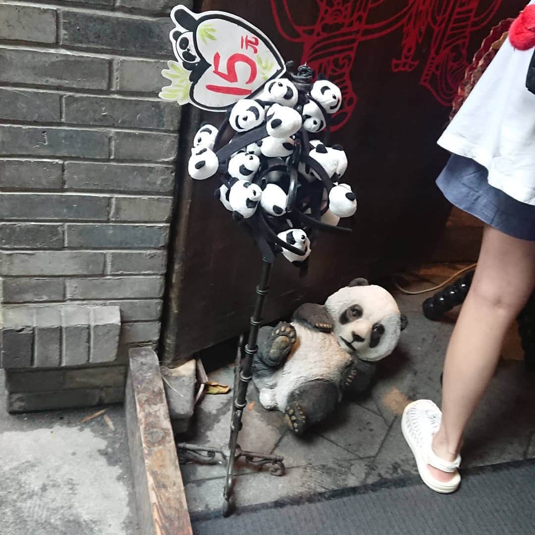 松坂南さんのインスタグラム写真 - (松坂南Instagram)「パンダの故郷だけあって、どこでもパンダグッズ売ってる✨  #lovetheearth  #china🇨🇳」8月9日 10時26分 - minami_matsuzaka