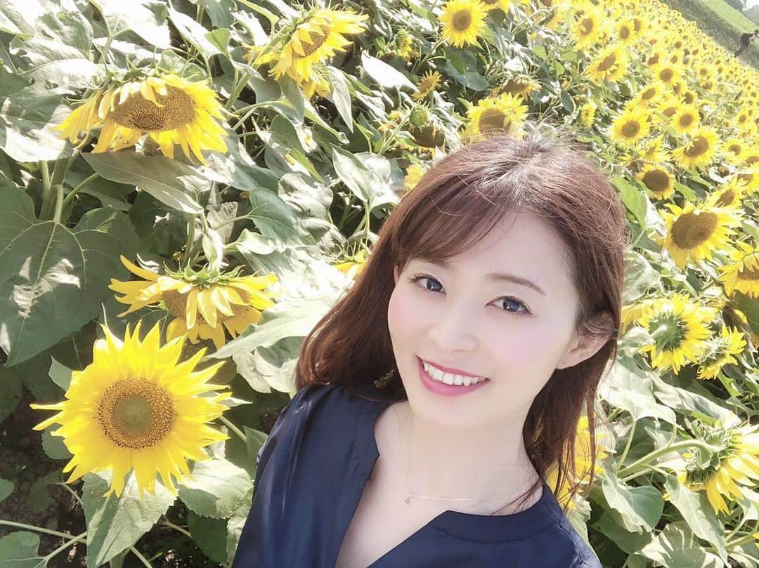 札幌テレビ「どさんこワイド朝」さんのインスタグラム写真 - (札幌テレビ「どさんこワイド朝」Instagram)「先日、北竜町のひまわり畑に行って来ました🌻 . 今がまさに見頃です🎶 . 太陽の下、見事に咲き誇っていて、元気をもらいました❤️ . ぜひみなさんも、北海道の夏を満喫して下さい😊💕 . #北海道 #北竜町 #ひまわりの里  #絶景 #ひまわり畑 #アナウンサー #女子アナ  #札幌テレビ #どさんこワイド朝  #大家彩香」8月9日 10時49分 - dosanko_asa