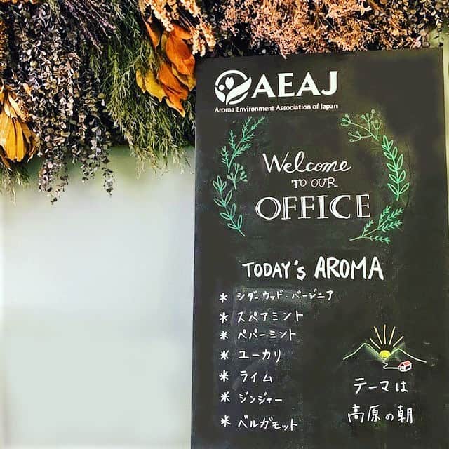 日本アロマ環境協会(AEAJ)さんのインスタグラム写真 - (日本アロマ環境協会(AEAJ)Instagram)「8月のAEAJ事務局の香りをご紹介します。 今月のブレンドテーマは「高原の朝」。 暑い日が続いていますが、涼感あふれる香りで快適に乗り切りたいですね！ ・シダーウッドバージニア　10 ・スペアミント 6 ・ペパーミント 5 ・ユーカリ　5 ・ライム　4 ・ジンジャー　3 ・ベルガモット　2」8月9日 11時03分 - aromakankyo_aeaj