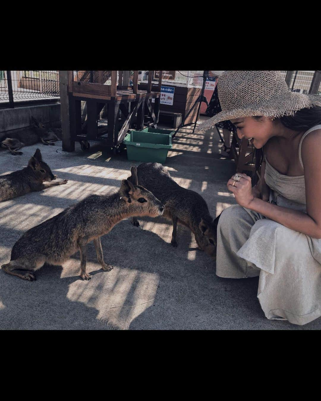 佐野真依子さんのインスタグラム写真 - (佐野真依子Instagram)「それにしてもすごく楽しい公園だった⛲️🌻」8月9日 11時32分 - sanomaisanomai