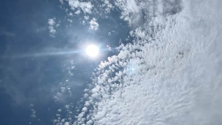 津島衣里のグルメインスタ