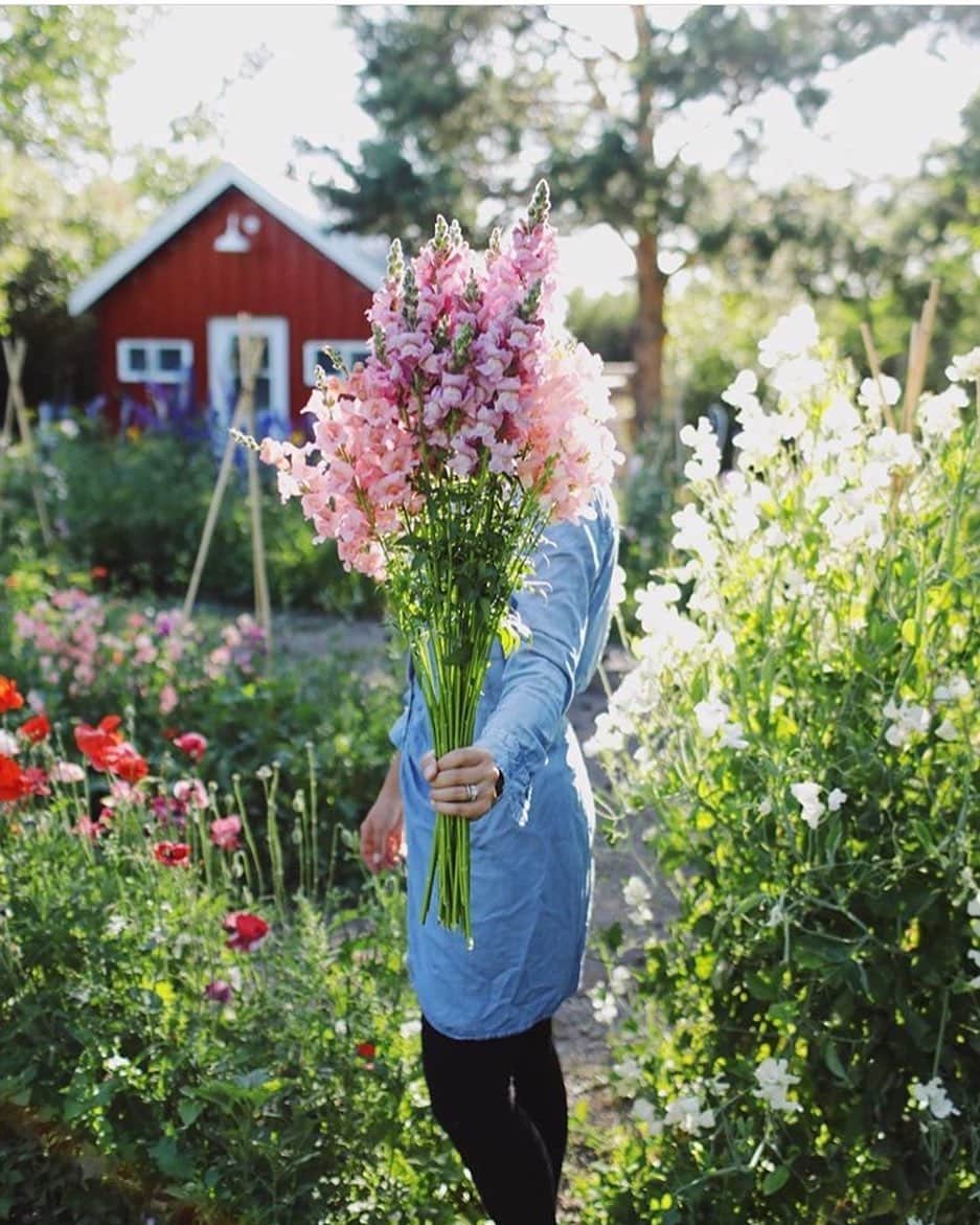 FOLKさんのインスタグラム写真 - (FOLKInstagram)「Lately I’m drawn to simple country moments. They calm me. They make me feel secure and centered. This one by @farmgirlsk really spoke to me.」8月9日 11時49分 - folkmagazine