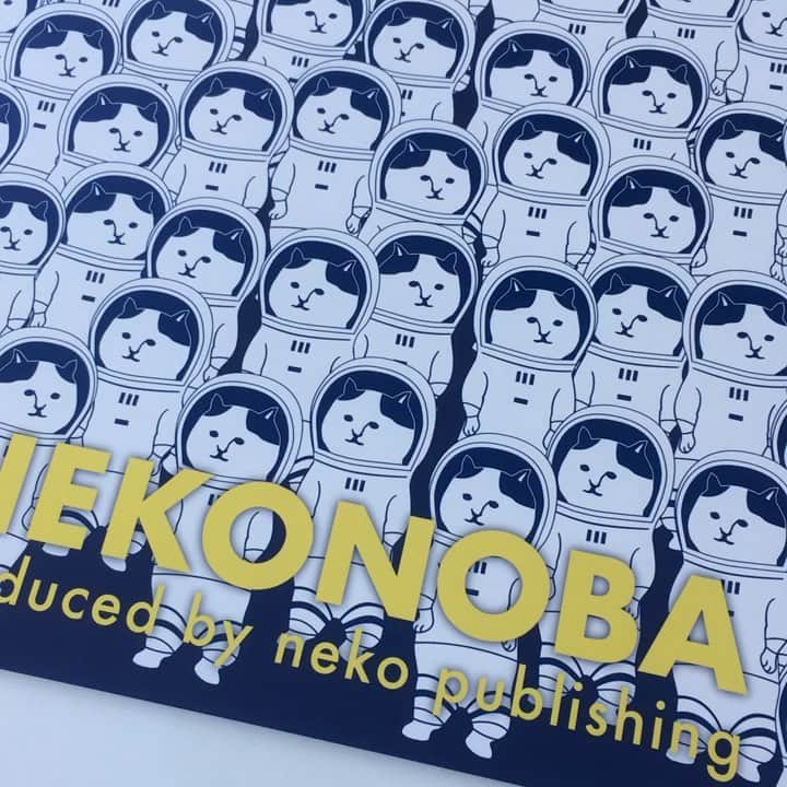 のインスタグラム：「NEKONOBA in 大丸札幌店 3F KiKiYOCOCHOに向けて、大詰めです〜😭😂😭😂 ニャンドロイドたちも準備満タンです〜😂🎈🌟限定商品も用意してます〜👍🏻💕みなさんに会えることを楽しみにしてますっ🤤✋🏻❤️ #neko_magazine #ねこ #猫 #ネコ #catstagram #cat #ねこマガジン #NEKONOBA」