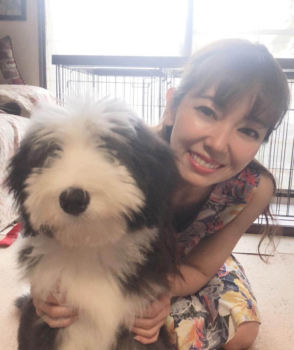 杉山由紀子のインスタグラム：「まつこもお忘れなく💗💗💗 * 犬飼ってる方ぜひ教えて🤣✨ やっぱわんちゃんらぶやわ✨ * * #いぬ #いぬすたぐらむ #いぬがすき #dog #ブルドック #ぶちゃかわがすき #お宅訪問趣味にしようか？笑」