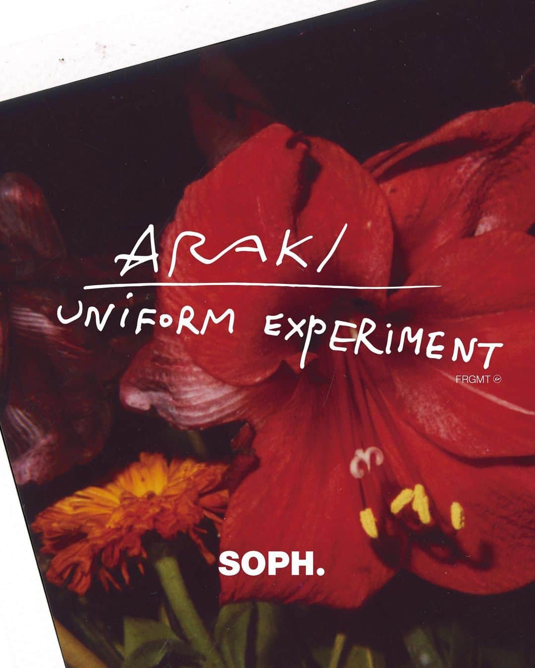 のインスタグラム：「日本を代表する写真家・現代美術家であるアラーキーこと荒木経惟氏とuniform experiment 初のコラボレーションが実現。 . 荒木経惟氏が、定期的に発表しているモチーフである「花」シリーズより、藤原ヒロシ氏が厳選したポラロイド作品を落とし込んだアートとファッションが密接にリンクした今回のプロジェクト。 各プロダクトには荒木経惟氏による手書きのサインがプリントされている。 . 「花は死に近づくとより生き生きとしてくる。枯れる直前が一番きれいだ。近づいて性霊に酔い花曲を聴く。」 文 : 荒木経惟 . SOPH.20周年を飾るに相応しいコラボレーションプロダクトは、8月21日(水)より、ISETAN MEN’S 6F Pop-Upスペースにて先行発売後、8月31日(土)より、全国のSOPH.shop及び正規ディーラーにて発売。 *SOPH.ONLINE STOREでは9月2日(月)より発売致します。 . NOBUYOSHI ARAKI x uniform experiment “FLOWER” 2019.8.31(sat) Release at SOPH.shops & official dealers. 2019.8.21(wed) Pre-Release at ISETAN MEN’S 6F as Pop-Up event. 2019.9.2(mon) Release at SOPH. OnlineStore. . As one of our 20th anniversary project, collaborated with "NOBUYOSHI ARAKI" aka Arākī. Hiroshi Fujiwara loves ARAKI’S polaroid art from his flower series and picked some his favorite polaroid for this collaboration. All of products has printed ARAKI’S hand signature. . #uniformexperiment #荒木経惟 #荒木経惟xUE #荒木経惟xuniformexperiment #NobuyoshiARAKI #NobuyoshiARAKIxUE #NobuyoshiARAKIxuniformexperiment #FLOWER #SOPH20thProject #FRAGMENT #FRGMT @fujiwarahiroshi  www.arakinobuyoshi.com」