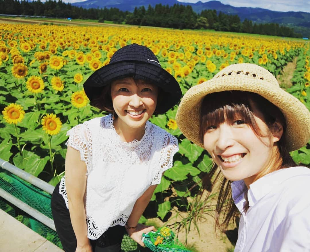 伊勢みずほさんのインスタグラム写真 - (伊勢みずほInstagram)「津南のひまわり広場🌻 満開でした❗  お盆くらいまで楽しめるそうですよ🌻  すごーく暑かったけど、ビタミンカラーの大輪のひまわり達から元気をもらいました🌻🌻🌻 中継を聴いてくださったみなさん どうもありがとうございました☺️ #bsn #ラジオ #ドコイコッカー #nexco東日本 #新潟県 #津南町 #ひまわり広場 #🌻 #臼木優香 #伊勢みずほ #アナウンサー #来週は #negicco #megu ちゃん #熱中症にはきをつけて #フォトジェニック #niigata #tsunan #japan #新潟観光 #花 #花畑 #夏休み #おでかけスポット #炎天下」8月9日 12時23分 - isemizuhoo