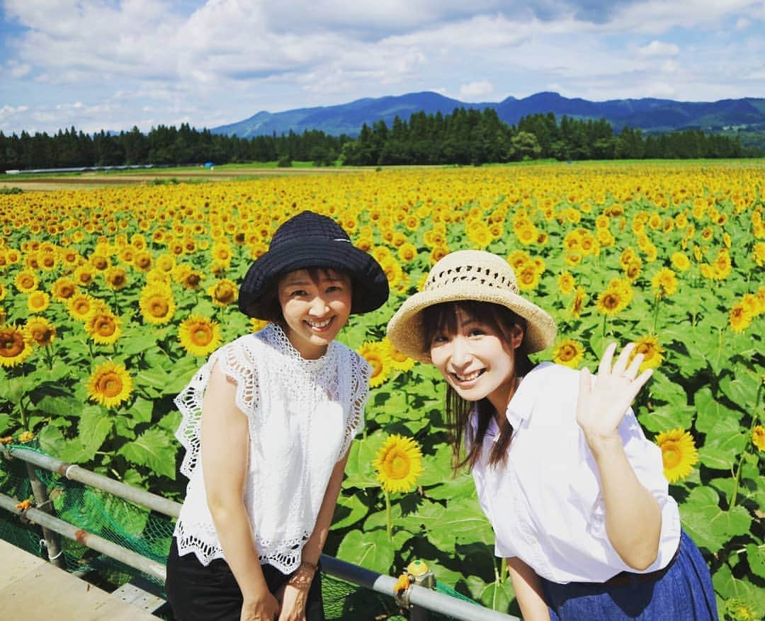 伊勢みずほさんのインスタグラム写真 - (伊勢みずほInstagram)「津南のひまわり広場🌻 満開でした❗  お盆くらいまで楽しめるそうですよ🌻  すごーく暑かったけど、ビタミンカラーの大輪のひまわり達から元気をもらいました🌻🌻🌻 中継を聴いてくださったみなさん どうもありがとうございました☺️ #bsn #ラジオ #ドコイコッカー #nexco東日本 #新潟県 #津南町 #ひまわり広場 #🌻 #臼木優香 #伊勢みずほ #アナウンサー #来週は #negicco #megu ちゃん #熱中症にはきをつけて #フォトジェニック #niigata #tsunan #japan #新潟観光 #花 #花畑 #夏休み #おでかけスポット #炎天下」8月9日 12時23分 - isemizuhoo