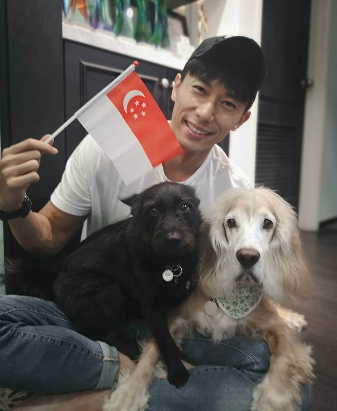 デスモンド・タンのインスタグラム：「Happy 54th National Day, Singapore! I love you! 🇸🇬 Greetings from Taipei!  Living abroad for the past months make me appreciate Singapore even more; the lingering feelings from within magnified the definition of HOME. Absence definitely makes the heart grow fonder. Family, friends, accent, laksa, prata, chaitaokueh, ... the list goes on (esp the food list 😜)! Home is home.  Especially first-time experiencing earthquake and typhoon these 2 days and watching bizarre news around the world, I've gotta say we are truly blessed in Singapore. Let's continue to strive to make this lion city roar loud and proud! MAJULAH SINGAPURA!  P.S. I couldn't decide on one photo with my furbabies because all 3 photos melt my heart. Which one you like best? 🤣  #SG54 #ndp2019 #singapore」
