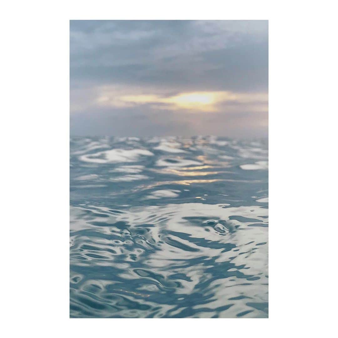 セドリック シャルリエさんのインスタグラム写真 - (セドリック シャルリエInstagram)「Water reflections. Inspiration of the day captured by @alfredo_piola #summertime #cedriccharlierofficial #cedriccharlier #alfredopiola」8月9日 18時02分 - cedriccharlierofficial