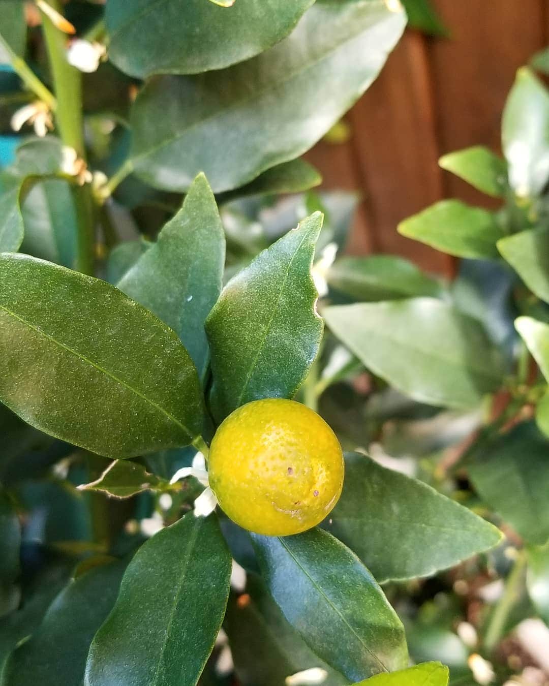 谷口キヨコのグルメインスタ