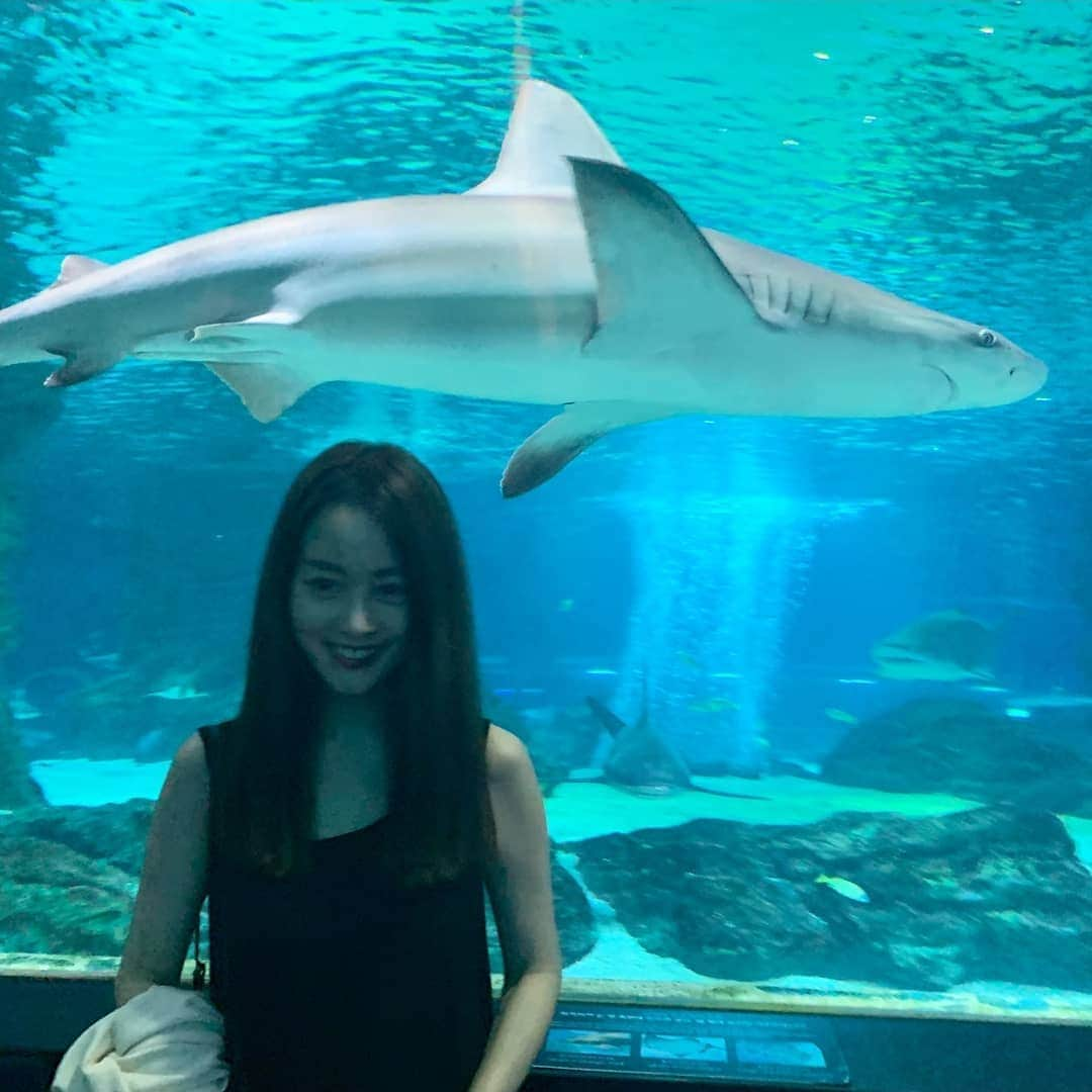 ソン・ヨウンさんのインスタグラム写真 - (ソン・ヨウンInstagram)「🦈」8月9日 12時44分 - catharina_578