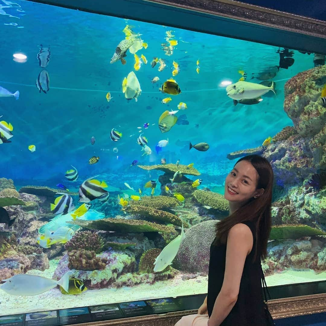 ソン・ヨウンさんのインスタグラム写真 - (ソン・ヨウンInstagram)「🐠」8月9日 12時52分 - catharina_578