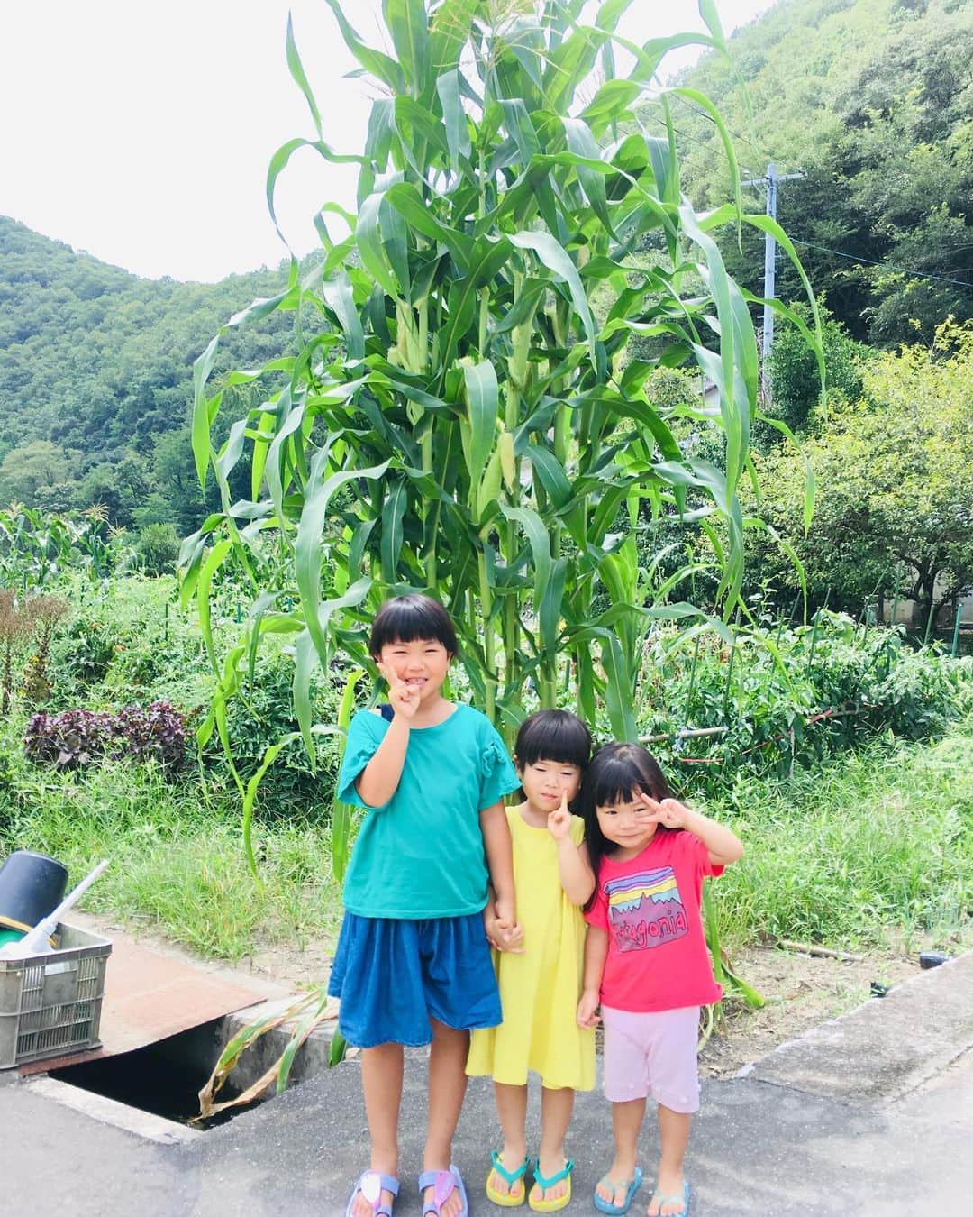 藤井惠さんのインスタグラム写真 - (藤井惠Instagram)「大きなトウモロコシ 🌽👶」8月9日 13時33分 - megumi_fujii