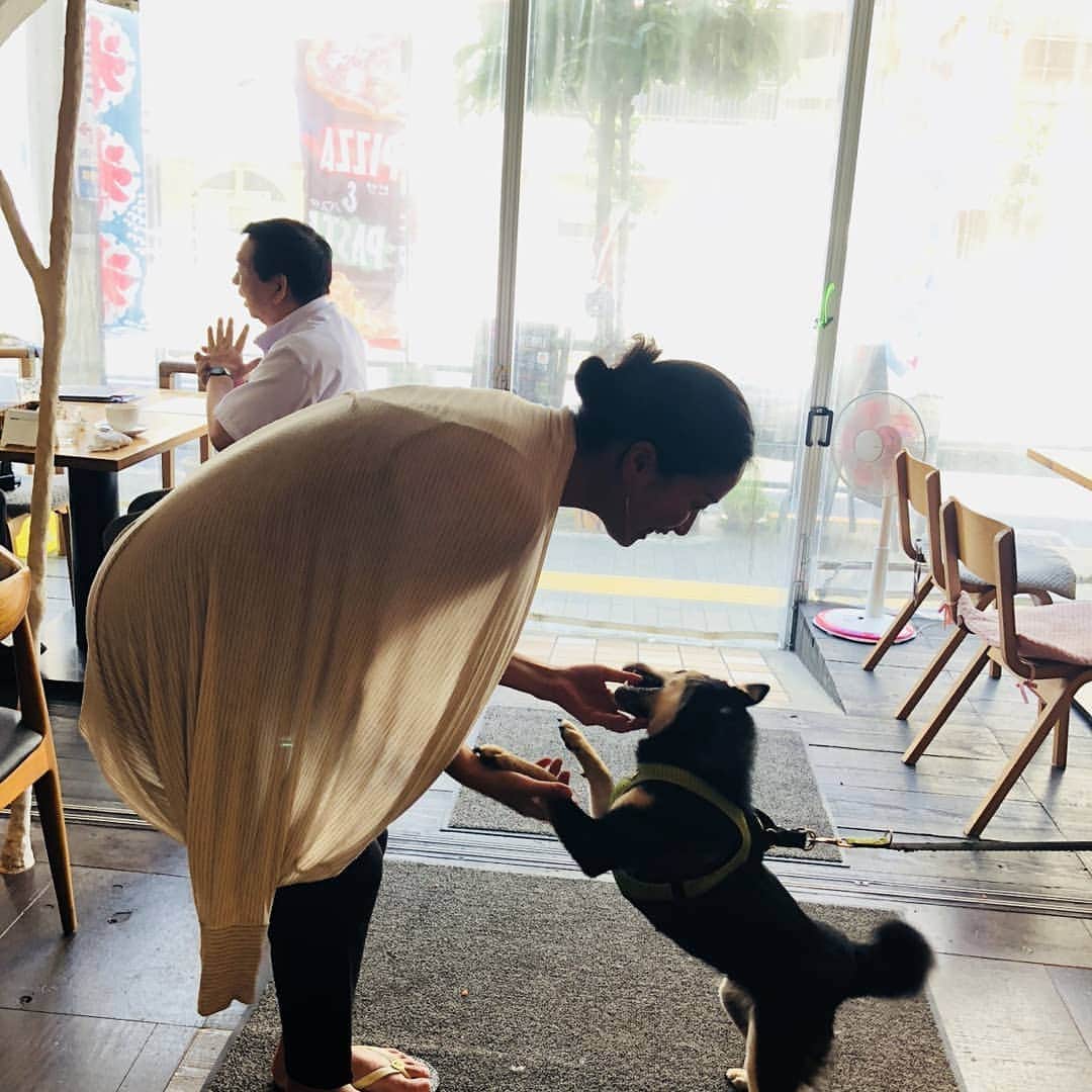 小錦千絵（TAUPOU）さんのインスタグラム写真 - (小錦千絵（TAUPOU）Instagram)「事務所前の”Came Cafe"でランチ☀️🍴 ここの焼きカルボナーラが美味しいんです😋😋 看板犬のウミちゃん🌊🏖️かわいい～～(⌒0⌒)／~~ #カメカフェ #camecafe」8月9日 13時46分 - taupou52