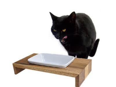 REPLUSさんのインスタグラム写真 - (REPLUSInstagram)「- ---------------------- 商品紹介 【Saraneko Muku&Height】 -サラネコ ムク&ムク ハイト-  浅く広く作られたテーブルと器は ご飯の時にネコのひげが汚れにくいように設計されています  猫のひげは敏感な為、食事の時に ヒゲが器にあたりにくくしている事で  ストレスが少なく食事をする事ができます  近年ブーム健康志向を是非ペット達にも！(•̤̀ᵕ•̤́๑) 飼い主様だけでなくペット達にも共に健康になって欲しいですね😊  #REPLUS#リプラス#REPLUSbox #ナチュラル#natural #インテリア#interior#雑貨#wood #いぬ#愛犬#いぬら部#いぬすたぐらむ #dog#dogstagram #ねこ#ねこ好き#ねこら部#にゃんすたぐらむ #cat#catstagram #ペット #petstagram#pet#petlover #instagood#instagram #instacat#instadog」8月9日 14時10分 - replus_official