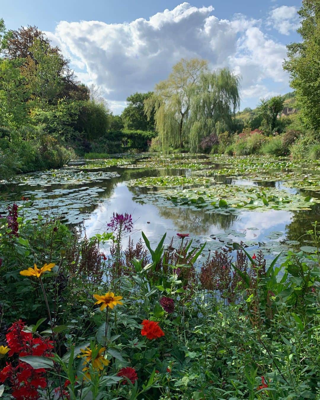 ニーナ・ガルシアさんのインスタグラム写真 - (ニーナ・ガルシアInstagram)「I’m in the garden. 💚💐🐝」8月9日 14時23分 - ninagarcia