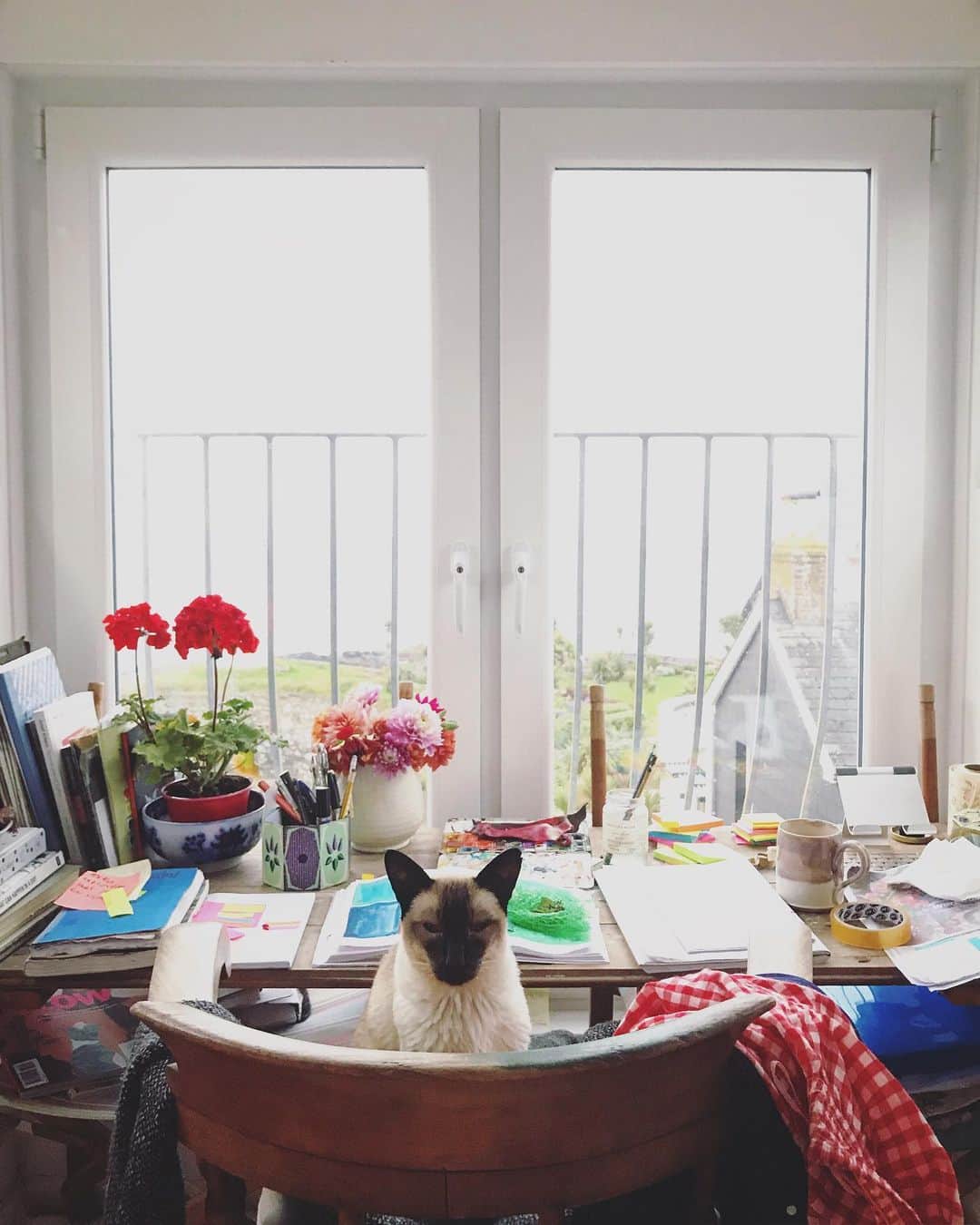 Tea and sittingのインスタグラム：「How I love this old boy and all his ways... 💔」