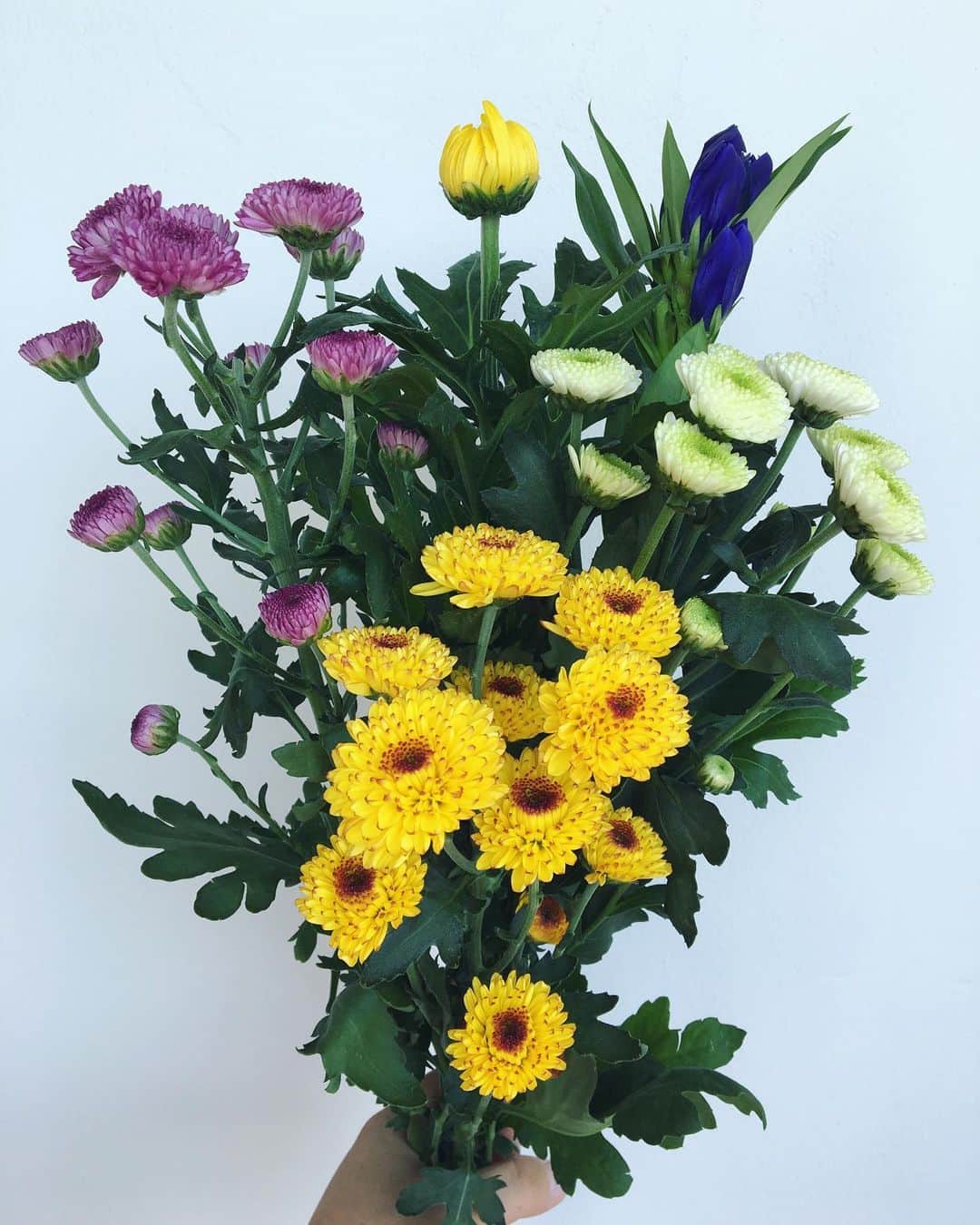 MILLE ECLAT.のグルメインスタ