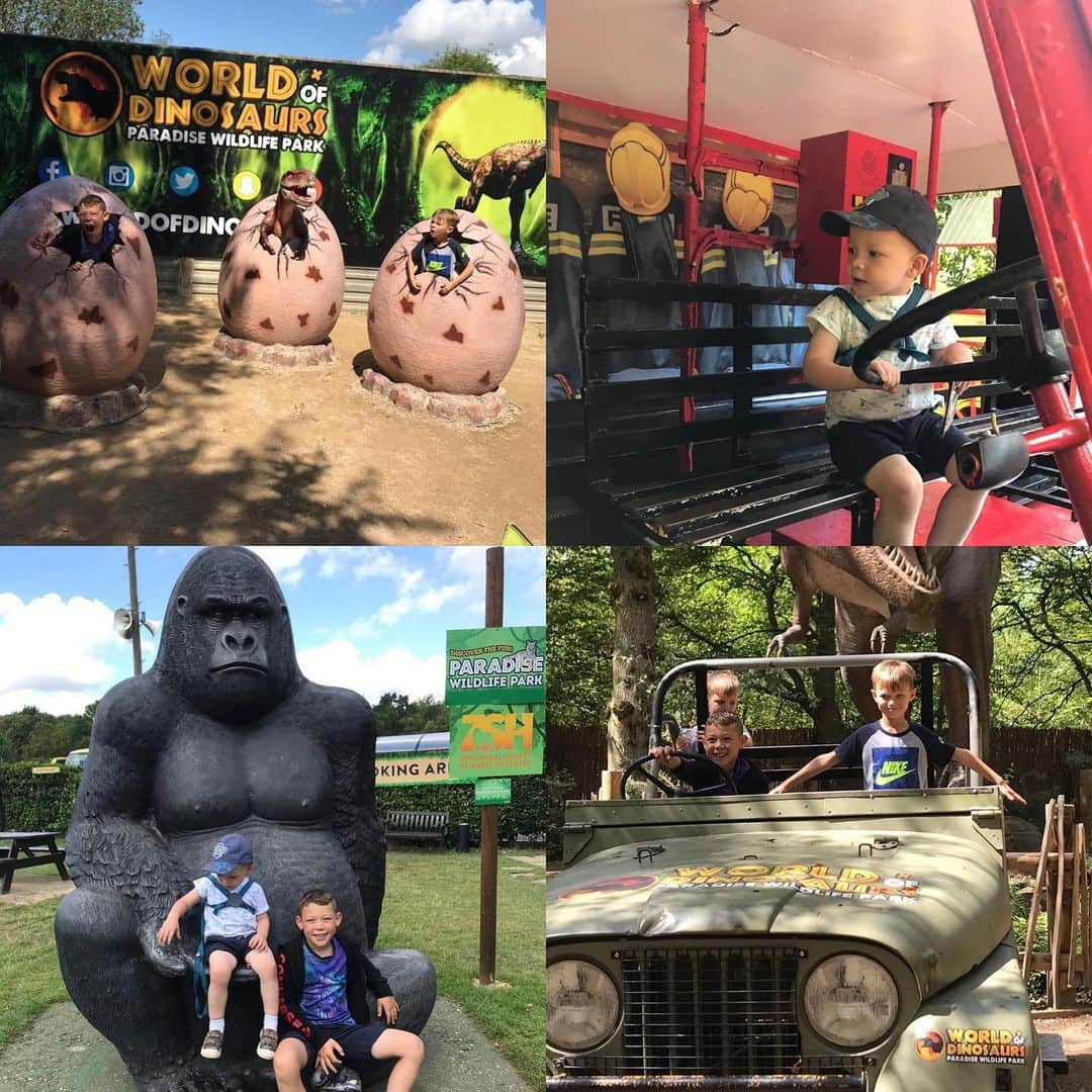 のインスタグラム：「Thanking @limelightaccess for looking after my brother and nephews  at @paradisewildlifepark today , they had a great time as always! 🙌🏽」