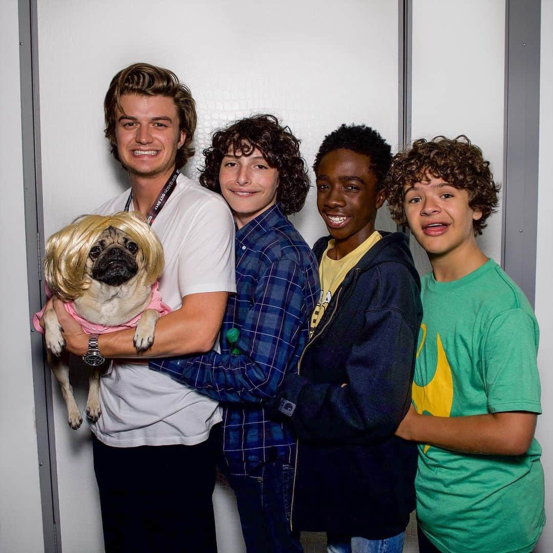 itsdougthepugさんのインスタグラム写真 - (itsdougthepugInstagram)「“When Stranger Pugs goes to prom” -Doug • Wanna see the BTS video of this moment? Go watch it on my @tiktok - username is dougthepug or click the link in my bio!」8月10日 1時54分 - itsdougthepug