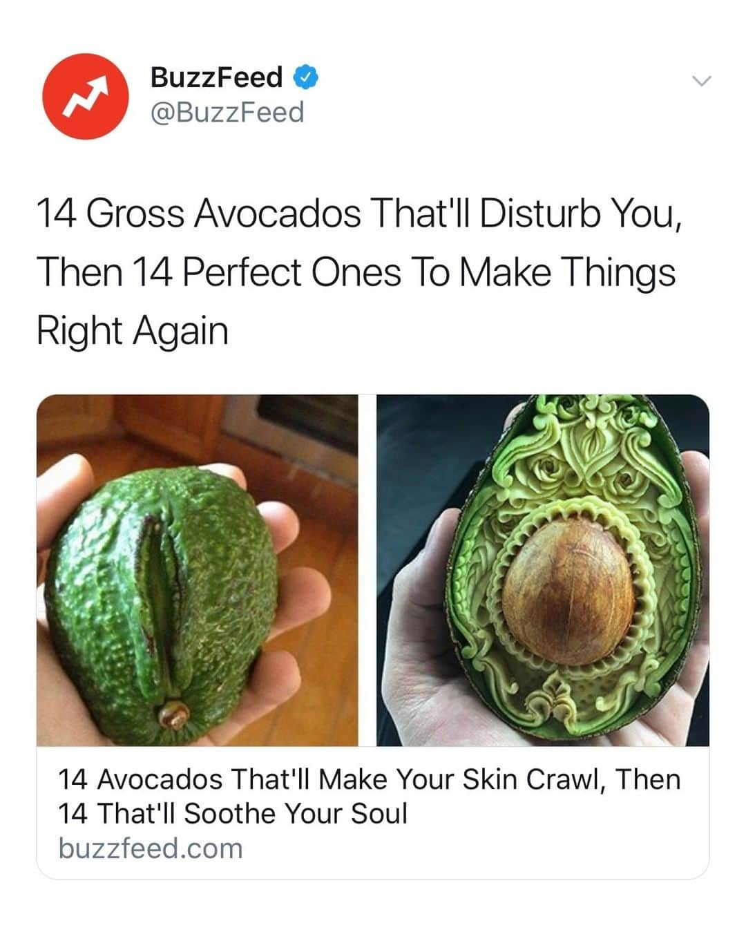 BuzzFeedさんのインスタグラム写真 - (BuzzFeedInstagram)「Avocados are like a box of chocolates. You never know what you're going to get 🥑 Link in bio 👀」8月10日 2時04分 - buzzfeed