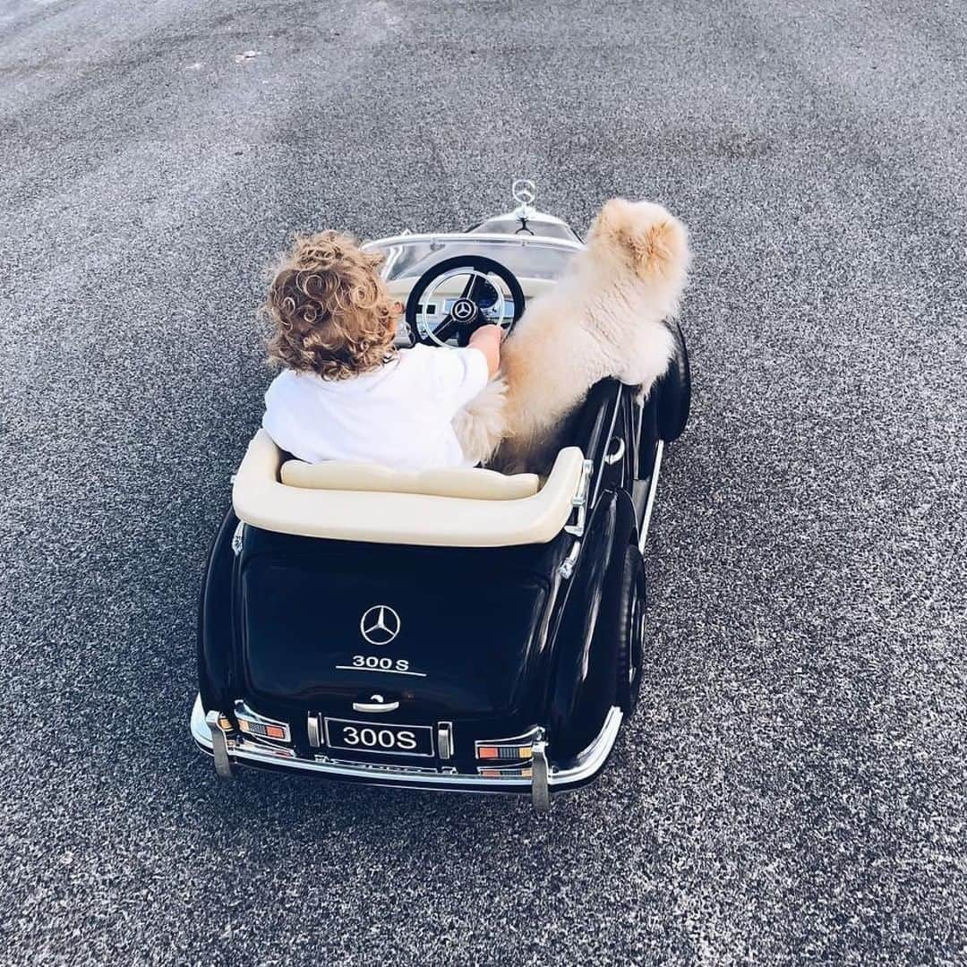 メルセデス・ベンツさんのインスタグラム写真 - (メルセデス・ベンツInstagram)「Squad goals! 🌟 Photo by @katie_lee_carter. . #MercedesBenz #⭐ #300S #mbfanphoto #MercedesBenzMuseum #squadgoals #automotivedesign #mysquad #bestfriends #supercarpups #supercarpupsrecruits #mbcar」8月10日 3時00分 - mercedesbenz