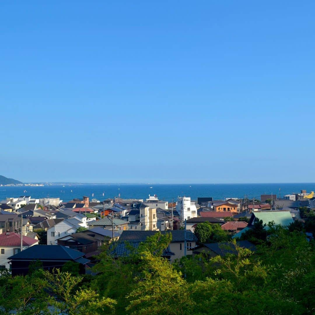 The Japan Timesさんのインスタグラム写真 - (The Japan TimesInstagram)「Kamakura is an easy and worthwhile day trip from Tokyo. The biggest attraction on the Yokosuka Line is Kamakura’s famous Great Buddha. The Buddha is a monumental outdoor bronze statue of Amida Buddha at the Kōtoku-in Temple that dates back to 1252. Then, walk down to the Hasedera Temple if you want breathtaking looks of the Kamakura coastline and beautiful temple scenery. From there end the day at the Tsurugaoka Hachimangu Shrine and grab some food on the way there from Komachidori Street. But for some peace and quiet, Engakuji Temple, located right off the Kita-Kamakura Station on the Yokosuka Line, is less crowded than most sites in the city. Travelers can enjoy the solitude as they walk through the temple grounds that are filled with gardens and picturesque monuments. (Camryn Privette photos) . . . . . . #Japan #Tokyo #Kamakura #Kanagawa #travel #temples #shrines #shrine #日本 #東京 #鎌倉 #神奈川 #旅行 #寺 #神社 #大仏 #自然 #⛩」8月9日 18時17分 - thejapantimes