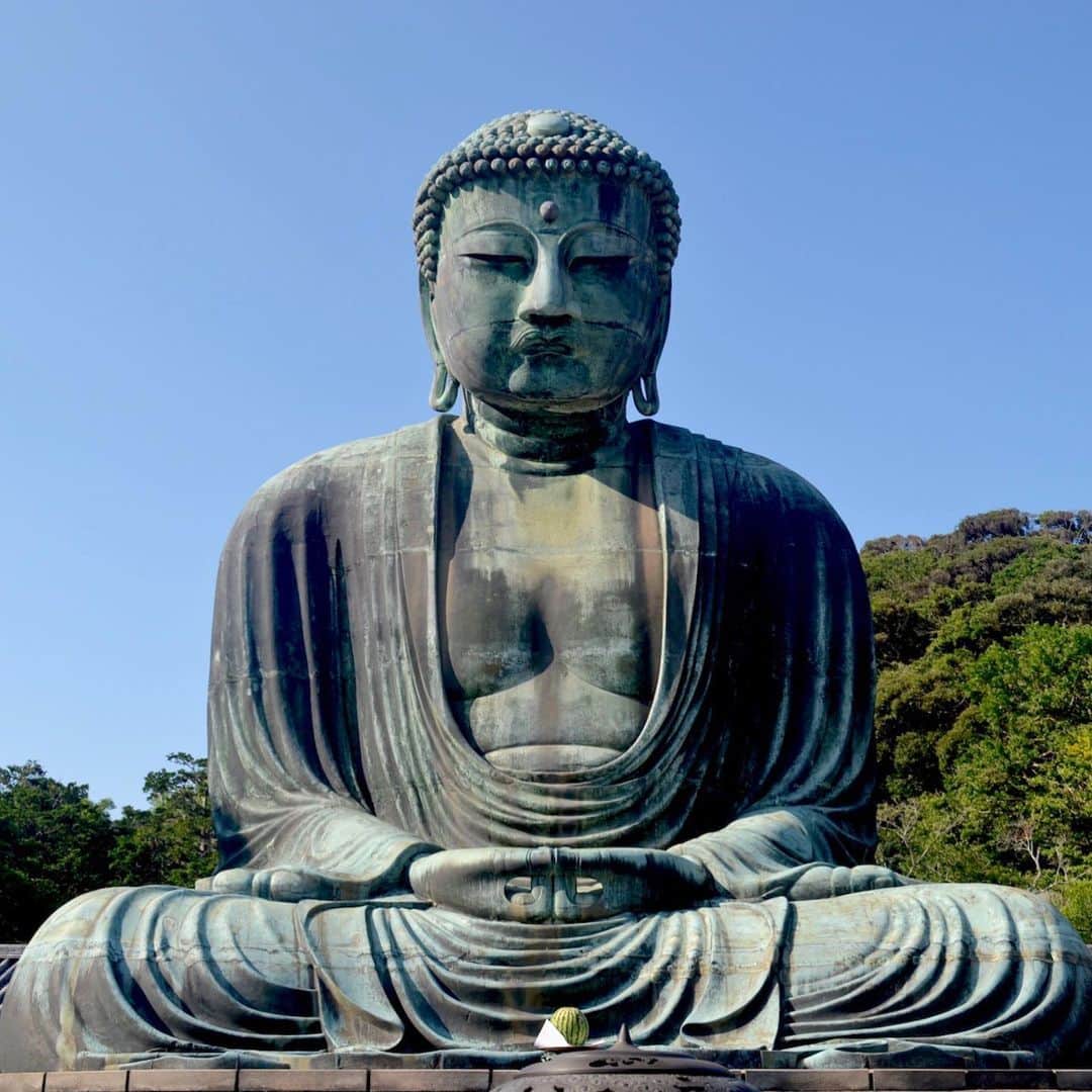 The Japan Timesさんのインスタグラム写真 - (The Japan TimesInstagram)「Kamakura is an easy and worthwhile day trip from Tokyo. The biggest attraction on the Yokosuka Line is Kamakura’s famous Great Buddha. The Buddha is a monumental outdoor bronze statue of Amida Buddha at the Kōtoku-in Temple that dates back to 1252. Then, walk down to the Hasedera Temple if you want breathtaking looks of the Kamakura coastline and beautiful temple scenery. From there end the day at the Tsurugaoka Hachimangu Shrine and grab some food on the way there from Komachidori Street. But for some peace and quiet, Engakuji Temple, located right off the Kita-Kamakura Station on the Yokosuka Line, is less crowded than most sites in the city. Travelers can enjoy the solitude as they walk through the temple grounds that are filled with gardens and picturesque monuments. (Camryn Privette photos) . . . . . . #Japan #Tokyo #Kamakura #Kanagawa #travel #temples #shrines #shrine #日本 #東京 #鎌倉 #神奈川 #旅行 #寺 #神社 #大仏 #自然 #⛩」8月9日 18時17分 - thejapantimes