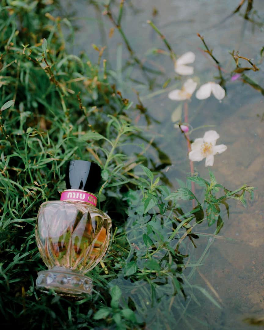 Miu Miuさんのインスタグラム写真 - (Miu MiuInstagram)「Romantic scent.  Discover the charming #MiuMiuTwist, the latest perfume to join the #MiuMiu special selection.  Photographed by @huiuh_  #MiuMiuFragrance」8月9日 18時30分 - miumiu