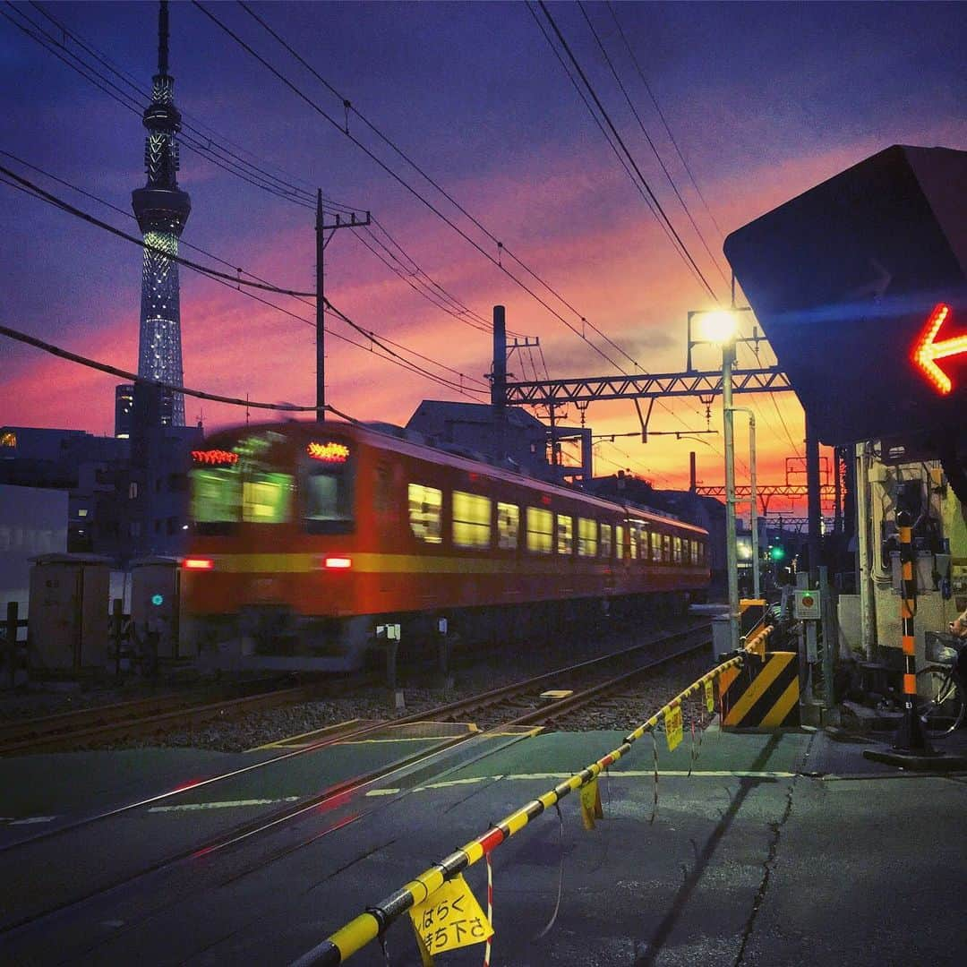 散歩の達人さんのインスタグラム写真 - (散歩の達人Instagram)「スカイツリーと東武亀戸線が一緒に見られる絶景スポット！ Tokyo skytree view. #hello #夕景 #亀戸線 #たから十間橋 #スカイツリー #skytree #train #tokyo #散歩の達人 #さんたつ」8月9日 18時55分 - san_tatsu