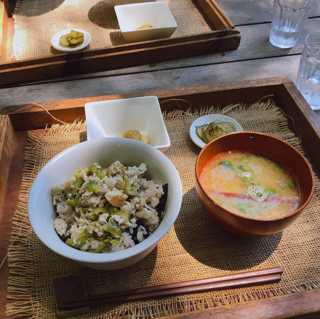 マル子さんのインスタグラム写真 - (マル子Instagram)「今日も安定の美味しさでした。 何を食べても美味しい😋 #shokuyabo農園  #かてめし  #マル子さんはずっとこの姿勢  #パードンさん大満足」8月9日 19時08分 - tomikago