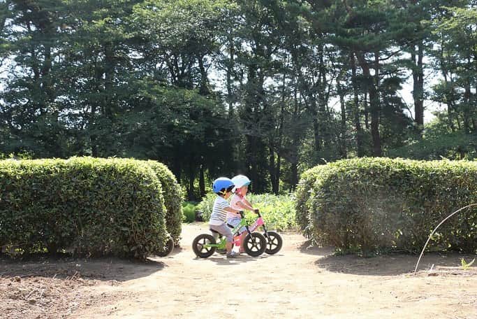 striderjapanさんのインスタグラム写真 - (striderjapanInstagram)「太陽サンサン！！真夏の日差しがまぶしいこの季節。﻿ 明日から夏休みのパパママは、旅行や帰省の準備真っ最中ではないでしょうか？﻿ ﻿ そんな時には、ぜひストライダーも連れて行ってあげてください！﻿ 実家に帰省するという方は尚更！おじいちゃんおばあちゃんに﻿ ストライダーに乗る姿を見せてあげたらとっても喜んでくれますよ!(^^)!﻿ ﻿ さて、そんな旅行や帰省といえば移動がつきものですが、﻿ このとき便利なのがストライダーキャリーバック(^^♪﻿ ﻿ 遊び終わって少し汚れてしまってもバックに収納することで、洋服や車の中、﻿ 新幹線の移動なんかでも汚すことなく楽ちんに運べて便利です(^^)/﻿ ﻿ 詳しくはすとらぼで！！﻿ ﻿ ぜひ、ストライダーにいろんな景色をみせてあげてくださいね☆﻿ ﻿ 他にも、アドベンチャーゾーンは全国各地で開催！﻿ みなさんのお家やお出かけ先でも行っているかも！！﻿ ADVENTURE ZONE情報にてご確認ください﻿ ﻿ 素敵な夏休みを！！﻿ ﻿ #strider﻿ #ストライダー﻿ #夏だ冒険だ﻿ #夏休み﻿ #ストライダーキッズ﻿ #14x﻿ #ストライダー14x﻿ #1歳半﻿ #2歳﻿ #もうすぐ2歳﻿ #3歳﻿ #4歳﻿ #5歳﻿ #6歳﻿ #1歳だってストライダー」8月9日 19時20分 - striderjapan