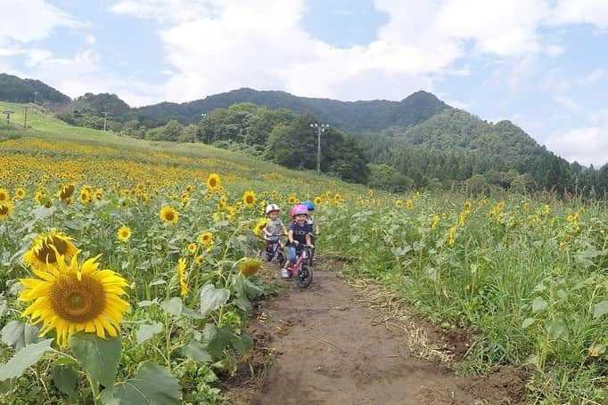 striderjapanさんのインスタグラム写真 - (striderjapanInstagram)「太陽サンサン！！真夏の日差しがまぶしいこの季節。﻿ 明日から夏休みのパパママは、旅行や帰省の準備真っ最中ではないでしょうか？﻿ ﻿ そんな時には、ぜひストライダーも連れて行ってあげてください！﻿ 実家に帰省するという方は尚更！おじいちゃんおばあちゃんに﻿ ストライダーに乗る姿を見せてあげたらとっても喜んでくれますよ!(^^)!﻿ ﻿ さて、そんな旅行や帰省といえば移動がつきものですが、﻿ このとき便利なのがストライダーキャリーバック(^^♪﻿ ﻿ 遊び終わって少し汚れてしまってもバックに収納することで、洋服や車の中、﻿ 新幹線の移動なんかでも汚すことなく楽ちんに運べて便利です(^^)/﻿ ﻿ 詳しくはすとらぼで！！﻿ ﻿ ぜひ、ストライダーにいろんな景色をみせてあげてくださいね☆﻿ ﻿ 他にも、アドベンチャーゾーンは全国各地で開催！﻿ みなさんのお家やお出かけ先でも行っているかも！！﻿ ADVENTURE ZONE情報にてご確認ください﻿ ﻿ 素敵な夏休みを！！﻿ ﻿ #strider﻿ #ストライダー﻿ #夏だ冒険だ﻿ #夏休み﻿ #ストライダーキッズ﻿ #14x﻿ #ストライダー14x﻿ #1歳半﻿ #2歳﻿ #もうすぐ2歳﻿ #3歳﻿ #4歳﻿ #5歳﻿ #6歳﻿ #1歳だってストライダー」8月9日 19時20分 - striderjapan