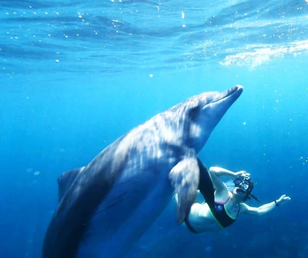 藤巻紗月のインスタグラム：「🐬🐬お知らせ🐬🐬 8月11日11:00〜11:54 BSTBS「オトナ女子ストーリーズ」 に出演します。 いろんな今の想いを語っております！ きっと私にとって最後であろうメディア出演。 ぜひちらりと👀 Tverでも配信されますー #オトナ女子#オトナ女子ストーリーズ #finswimming#フィンスイミング #dolphinswim#行きました #イルカと同じくらい逞しいですが #映像はとてもきれい #飛び込みは突っ込みどころ満載です」