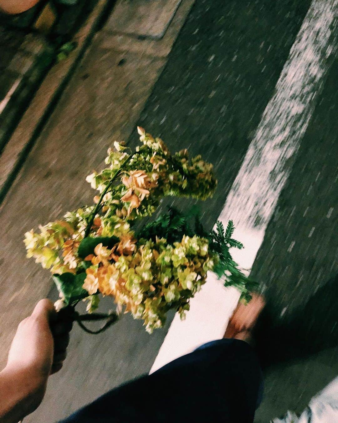 ユウキさんのインスタグラム写真 - (ユウキInstagram)「お花ってうれしいよねえ💐🌿」8月9日 20時19分 - yuukichan2