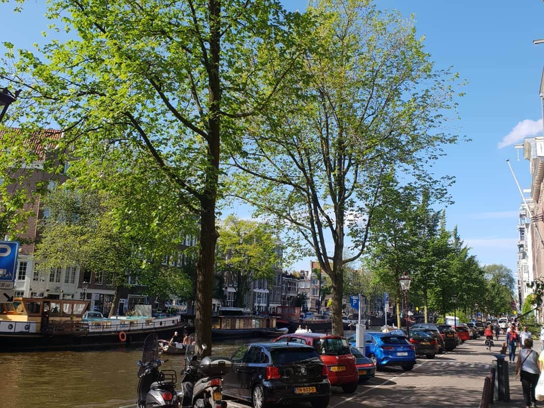 イ・ダヒさんのインスタグラム写真 - (イ・ダヒInstagram)「조금이나마 같이 느끼고 싶어서 찍어봤어 내가 느끼는것만큼은 아니겠지만 보면서 조금이나마 이 여유로움을 느꼈으면 좋겠다😊  #netherlands #amsterdam #네덜란드 #암스테르담」8月9日 20時29分 - dahee0315