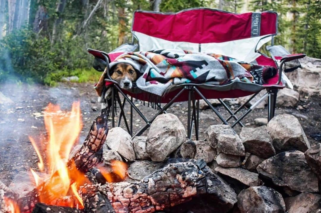 L.L.Beanさんのインスタグラム写真 - (L.L.BeanInstagram)「Don't worry, there's still plenty of room for you down by the tail. #BeanOutsider #SmoreOutofSummer (📷: @mirandashea24)」8月9日 20時32分 - llbean