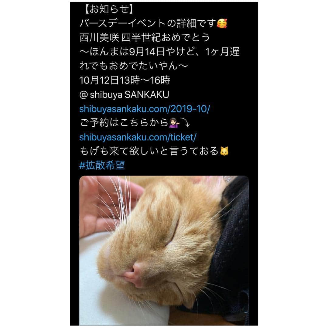 西川美咲さんのインスタグラム写真 - (西川美咲Instagram)「お知らせです！ Twitterでも書きましたが 10月12日13時～ shibuya SANKAKU さんで 約1ヶ月遅れの 西川美咲バースデーイベントを させていただきます！！！ ずっとやりたいと思っていた バースデーイベント🎂 なので、ぜひぜひ遊びに来てください🥰 ご予約はこちらから↓ https://shibuyasankaku.com/ticket/ . . . #バースデーイベント #birthdayevent #birthday #25thbirthday #love #役者 #女優 #俳優 #芸能 #actor #actress #fashion #お洒落 #オシャレ好き #24歳 #Japanesegirl  #Japanese #Japaneseactress #グラビア #グラビアアイドル #グラドル #インスタグラビア #タレント #関西人 #関西弁 #関西弁女子 #followme」8月9日 20時41分 - m.nisshan