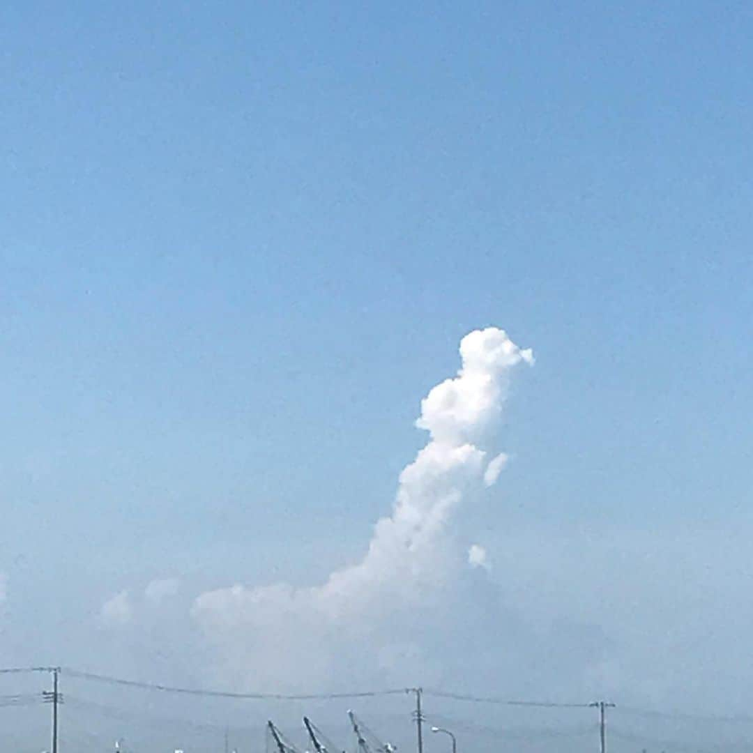 大溝清人さんのインスタグラム写真 - (大溝清人Instagram)「2019 夏  とりあえず のんきの 大将が夏させてくれると言うことで 朝にちろっと夏を感じに行ったの巻  #のんき #堀切本店 #あっちゃん #麦わらの一味 #ルフィ #九十九里 #海 #夏 #ビール #KIRIN #一番搾り」8月9日 20時49分 - badboys_kiyoto93