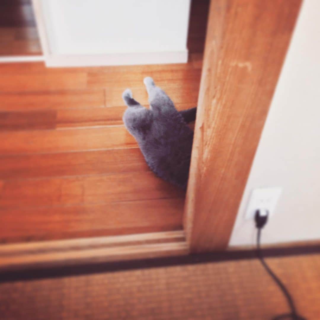 チキン南蛮カレーのルウ王子のグルメインスタ