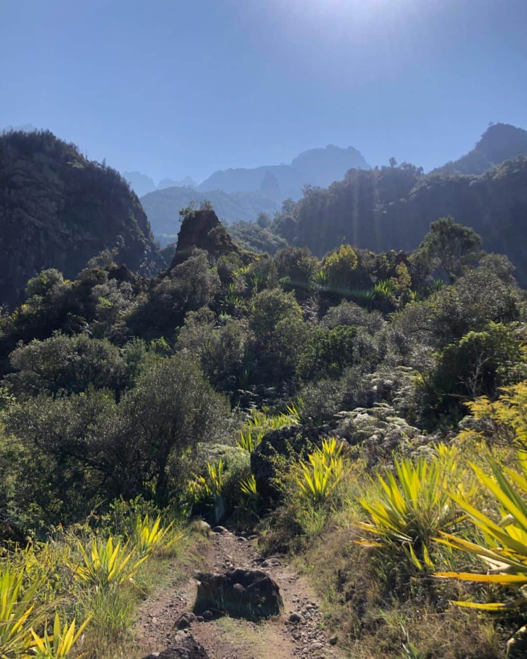 ポーリーヌ・オアロさんのインスタグラム写真 - (ポーリーヌ・オアロInstagram)「Two days hiking, biking and crossing rivers barefoot 🐒🍻 #thisalwaysplease 🙏🏽 -warmest thx @tsilaosa_hotel」8月9日 20時52分 - paulinehoarau