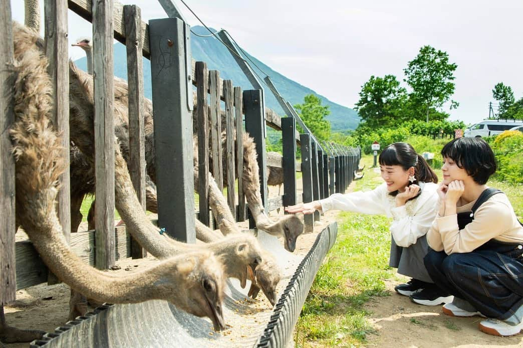 荒井愛花さんのインスタグラム写真 - (荒井愛花Instagram)「航空会社Peachの北海道特集に出演したよー！  もうね…北海道……最高すぎました😂❤️ ご飯がおいしすぎる！！！！びっくりするくらい美味しい笑 はやくまた行きたい…。 観光スポットたくさん回ったのですが、北海道ってほんと魅力たっぷりな街だなぁって！ 前に載せたダチョウの動画面白いから遡ってみてほしいなぁ笑  ストーリーでも記事をアップしたので ぜひチェックしてね🥰 (Peach公式サイトの、MEETS NEW SAPPOROページで見ることができます◎) #fly_peach #北海道 #札幌」8月9日 20時58分 - maaanyaka