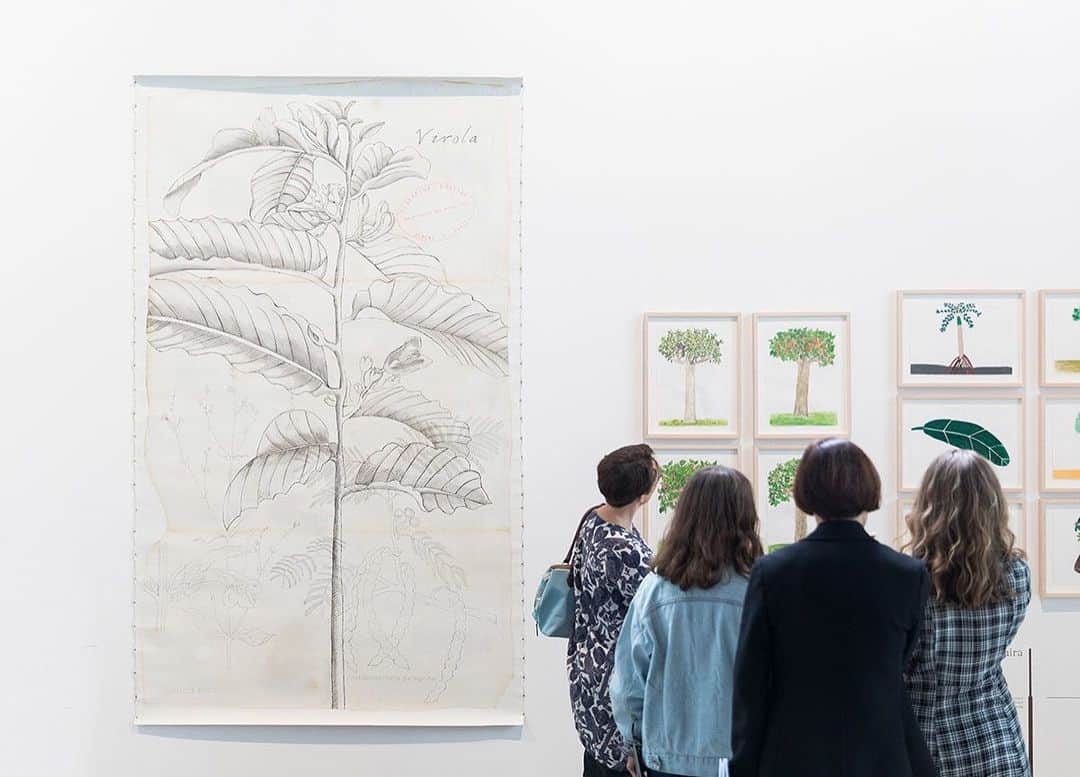 のインスタグラム：「Organized around several large ensembles of works, "Nous Les Arbres" gives voice to numerous figures who have developed a strong, intimate link with trees, thereby revealing the beauty and biological wealth of these great protagonists of the living world, threatened today with large-scale deforestation.  The exhibition is currently on view at Fondation Cartier in Paris and features work by Giuseppe Penone and Adriana Varejão. __________ #AdrianaVarejao #GiuseppePenone #FondationCartier #NouslesArbres #Gagosian @fondationcartier @adrianavarejao Photo: @lucboegly」
