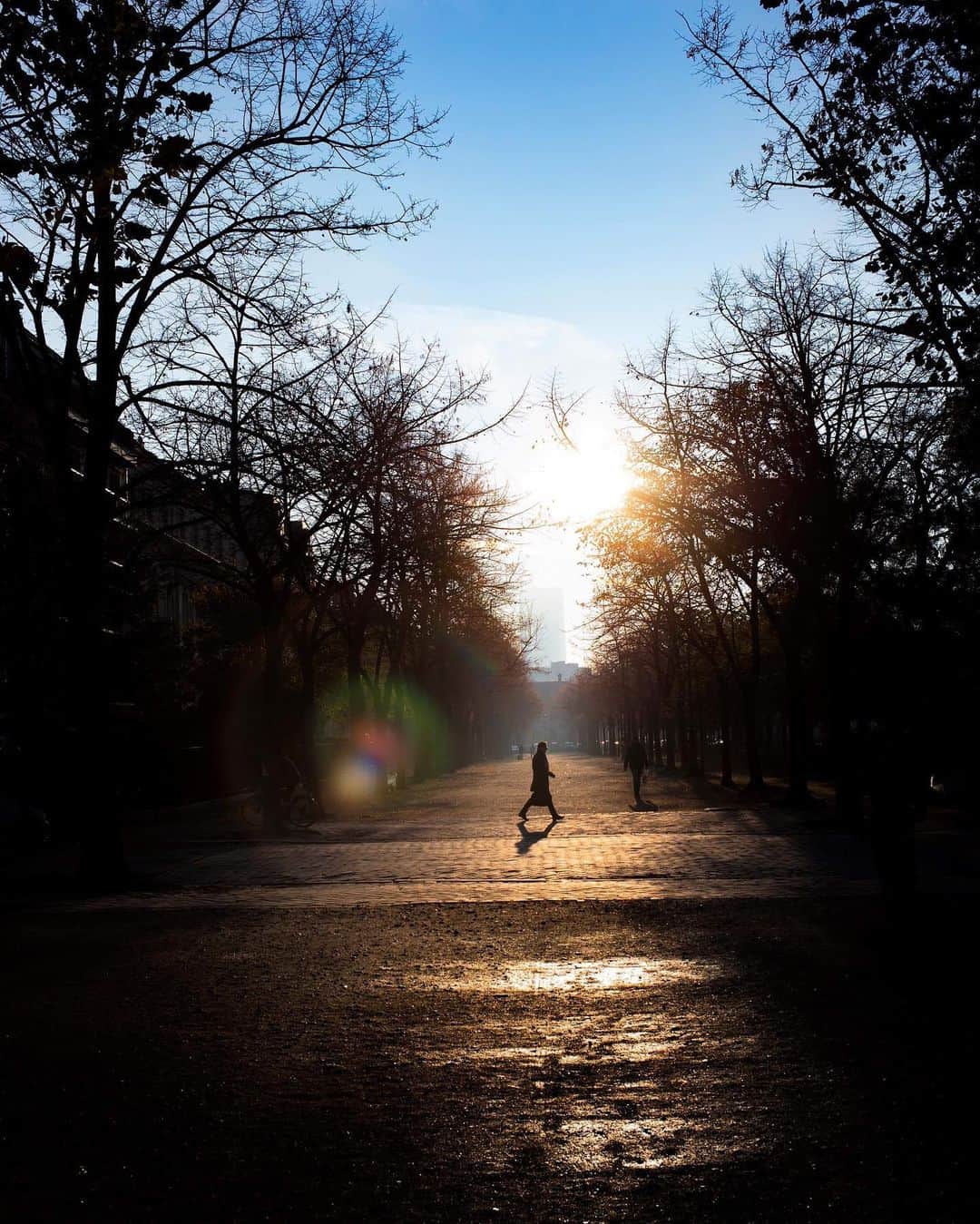 のインスタグラム：「Paris  また新たな朝がやってくる。 どこかで見ていてくれると信じて。  徳島に行ってきます。 講演と、おじいちゃんおばあちゃんの遺影の撮影をさせて頂きます。  #写真 #photography #paris #パリ #ライカ #leica #summicron35mm #summicron #ズミクロン #大杉隼平 #shumpeiohsugi」