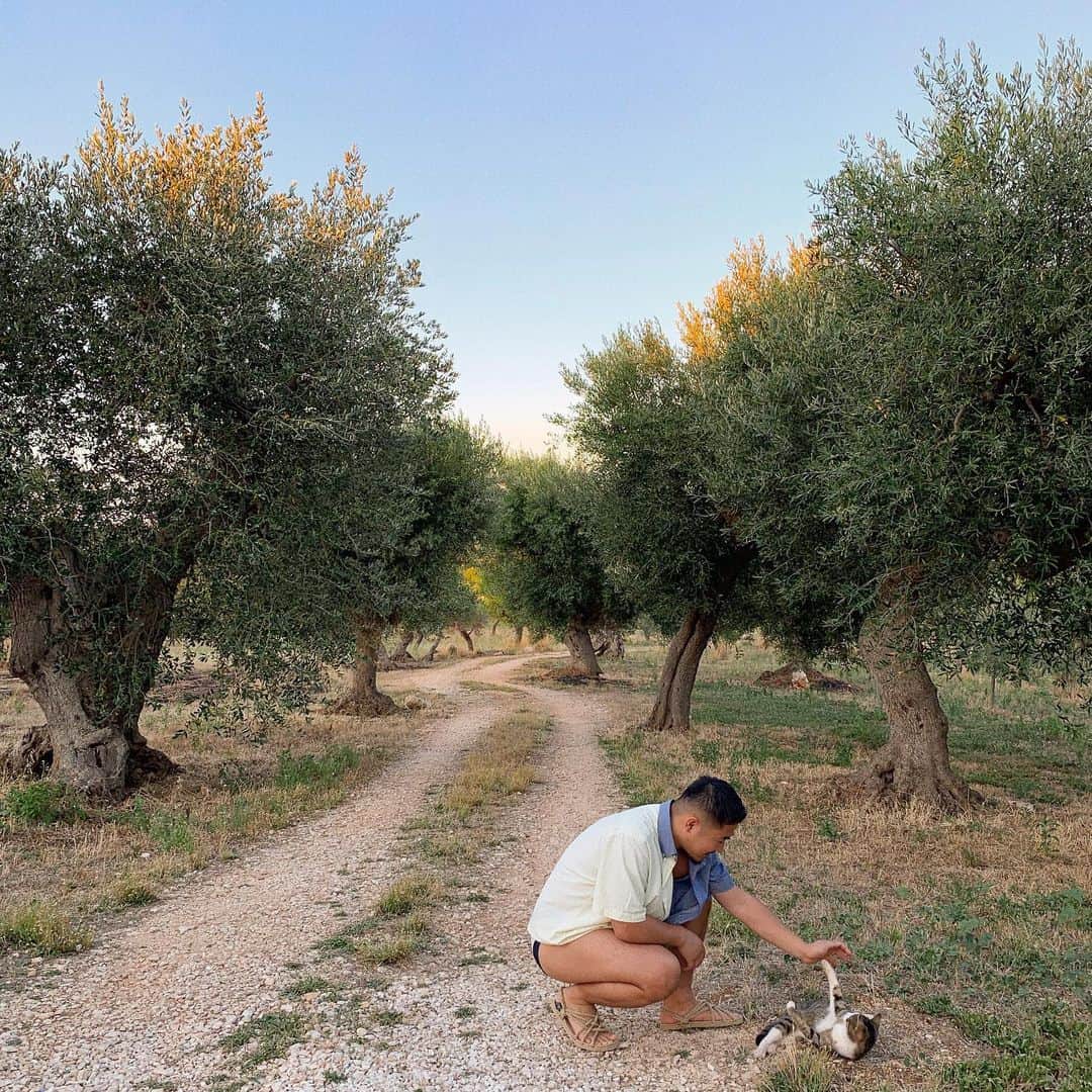 KEISUKE SYODAさんのインスタグラム写真 - (KEISUKE SYODAInstagram)「Didn’t expect that how much I’d love this city 🥰 #puglia #italy #masseria #europe #summer #olivetree #olive #farm」8月9日 21時15分 - keisukesyoda