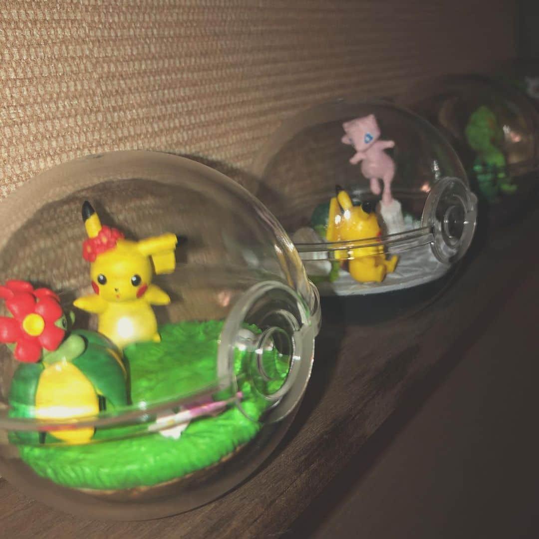 永井亜子さんのインスタグラム写真 - (永井亜子Instagram)「このシリーズすこ  #pokemon #テラリウムコレクション」8月9日 21時27分 - ako_nagai